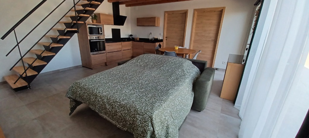 Canapé-lit confortable dans le séjour